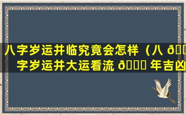 八字岁运并临究竟会怎样（八 🐱 字岁运并大运看流 🐝 年吉凶查询表）